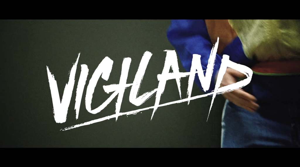 Vigiland
